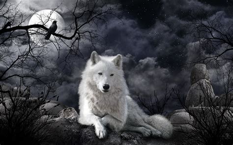 Wolf Night betsul